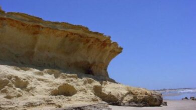 Pedra no horário da Maré em Tibau - Foto: reprodução