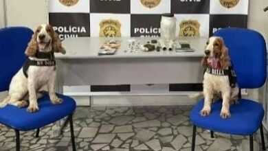 Exposição policiais Partage - Foto: divulgação