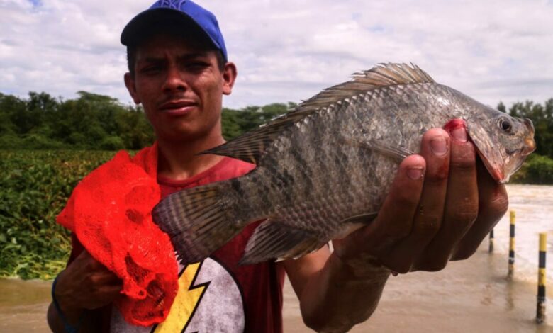 Mossoró ofertará Peixe Popular - Foto: Wilson Moreno