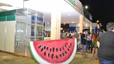 Expofruit 2023, a maior feira da fruticultura no Brasil - Foto: divulgação